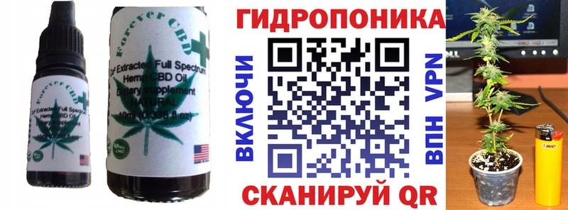 Cannafood конопля  мориарти Telegram  ОМГ ОМГ рабочий сайт  Карасук  сколько стоит 