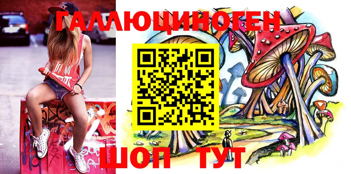 Карасук  Галлюциногенные грибы Psilocybine cubensis  Вход с VPN 