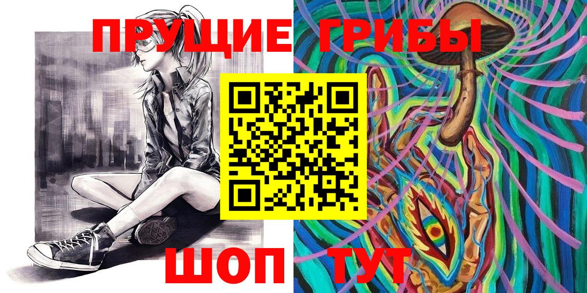 Псилоцибиновые грибы GOLDEN TEACHER Карасук